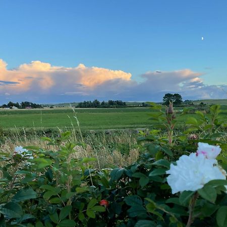 Aengahuset Villa Glemminge Екстериор снимка