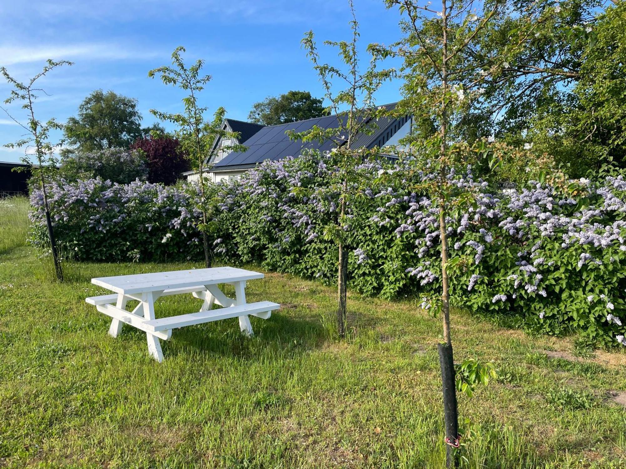 Aengahuset Villa Glemminge Екстериор снимка